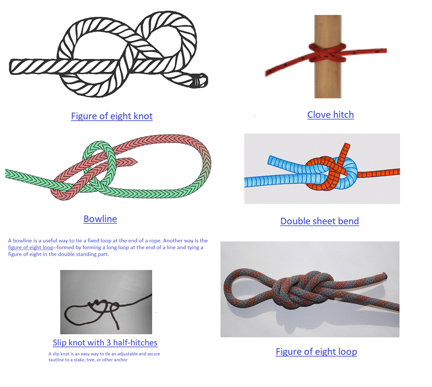 Several different types of ropes

Description automatically generated