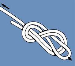 Image result for double figure of eight loop
